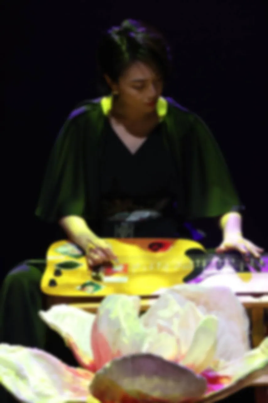 가야금 무대 공연